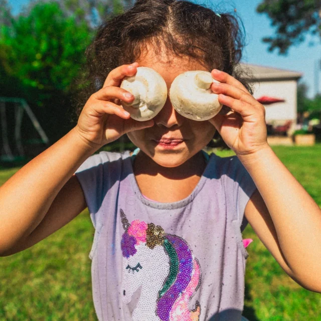 Fuel their brains with the power of mushrooms!

Highline Mushrooms are the ultimate back-to-school fuel.

#kidseatmushroomstoo #healthyeating #backtoschool #healthylunches #nutrition #mushrooms