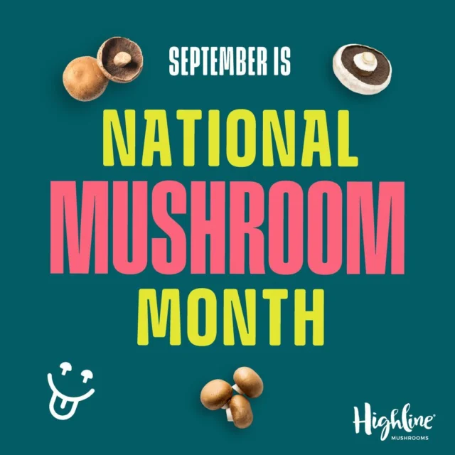 National Mushroom Month is here!

September is all about showcasing the greatness of our favorite food: mushrooms. 

From their super nutrients to their versatility in the kitchen, mushrooms are true powerhouses. 

Here at Highline Mushrooms, we're passionate about all things mushrooms and National Mushroom Month gives us the perfect reason to celebrate.

Get ready to be super inspired by recipes, tips, and all things mushrooms this month. 

LEARN MORE AT THE LINK IN BIO. 

#mushrooms #recipes