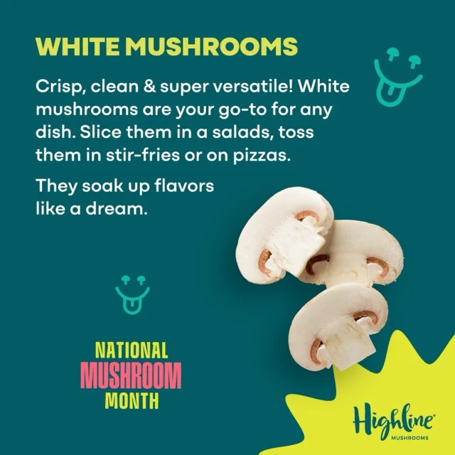 Meet the fam: 

From zesty Shiitakes to savory Portobellos, we’ve got the lowdown on how to cook, grill, and savor every fungi. 

Swipe to discover each mushroom type and learn exactly WHAT to do with them!